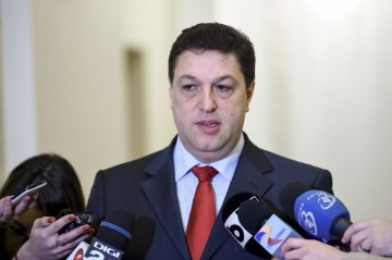 Şerban Nicolae, senator: