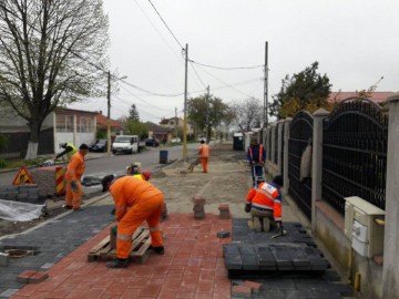 Constanța începe să arate cum trebuie! Se asfaltează străzi, se strâg deșeurile și se plantează flori
