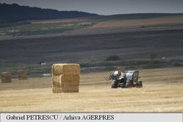 Cererile unice de plată pentru anul 2017 se depun până pe 15 mai