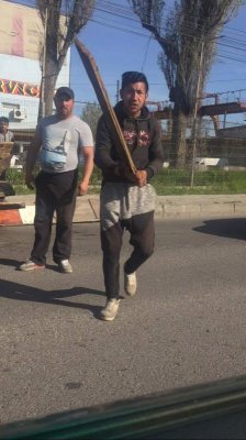 INCREDIBIL! Niște țigani AU RUPT CU BĂTAIA un cal, în trafic! Au amenințat și lumea din jur - VIDEO