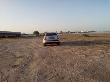 A început sezonul: „Atenţie, bizoni pe plajă!”