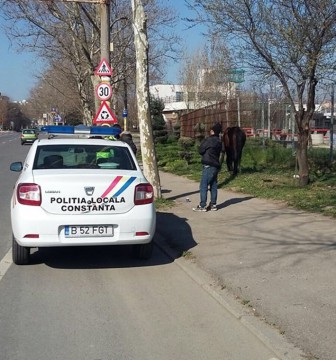 Sute de amenzi aplicate de poliţiştii locali la Constanţa