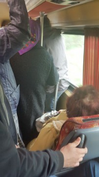 Individul care fura din microbuze, trimis în judecată
