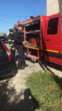 Pisică gestantă salvată de pompierii constănțeni! VIDEO