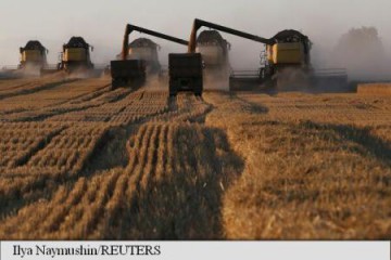 Exporturile de grâu ale Rusiei sunt estimate să atingă un nou record istoric în 2016-2017
