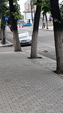 Un șofer și-a parcat mașina pe pista de biciclete de pe bulevardul Tomis
