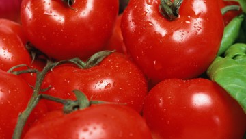 Producătorii de roşii în solarii vor primi subvenţiile în maxim două săptămâni de la trimiterea documentaţiei către APIA