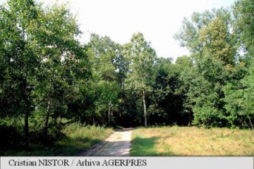 Investiții de 180 de milioane de lei în drumuri, utilaje și înființarea unei fabrici de puieți forestieri