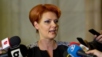 Lia Olguţa Vasilescu: Am trecut evaluarea făcută membrilor Guvernului. Nu am avut nici un fel de emoţie
