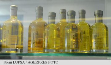 Producția de ulei de măsline a Italiei va atinge cel mai scăzut nivel din ultimele decenii