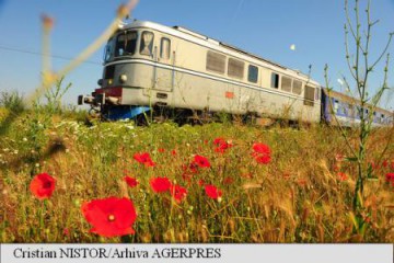 Trenurile circulă cu viteză redusă din cauza caniculei; călătorii să se informeze cu privire la modificările din program