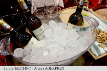 Producătorii de vin reuniți la Vinexpo caută mijloace pentru a lupta împotriva încălzirii climatice