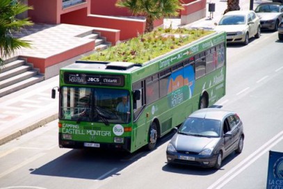 Idee pentru MAZ-urile din Constanţa: oraşul care a plantat grădini pe autobuze Idee pentru MAZ-urile din Constanţa: oraşul care a plantat grădini pe autobuze