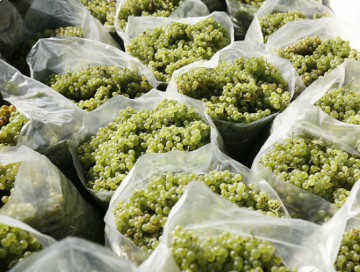 10 octombrie, Ziua naţională a produselor agroalimentare româneşti
