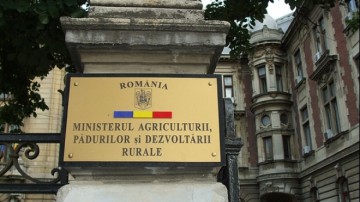 Peste 25 de milioane de euro pentru cultivarea legumelor în spaţii protejate în perioada 2024-2025