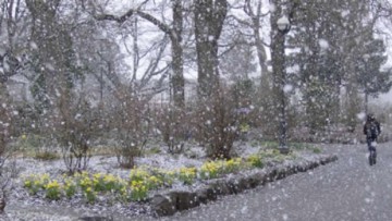 Prognoza meteo: până când ninge la Constanța!