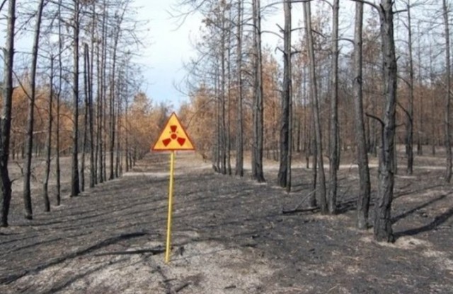 Angajații de la Cernobîl: Europa s-a aflat în pragul unui dezastru radioactiv!