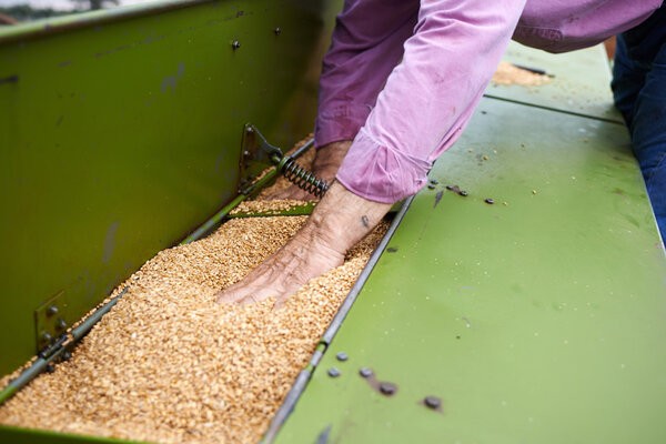 Lipsa spaţiilor de stocare a cerealelor, o nouă problemă pentru fermierii ucraineni