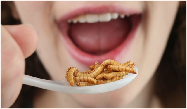O nouă teorie capătă amploare: „Elitele globale vor ‘forța oamenii să mănânce insecte“