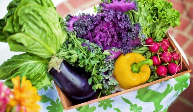 Leguma de sezon care ajută digestia, scade tensiunea şi curăţă rinichii