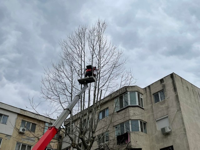 Utilități Publică Cernavodă continuă curățenia de primăvară