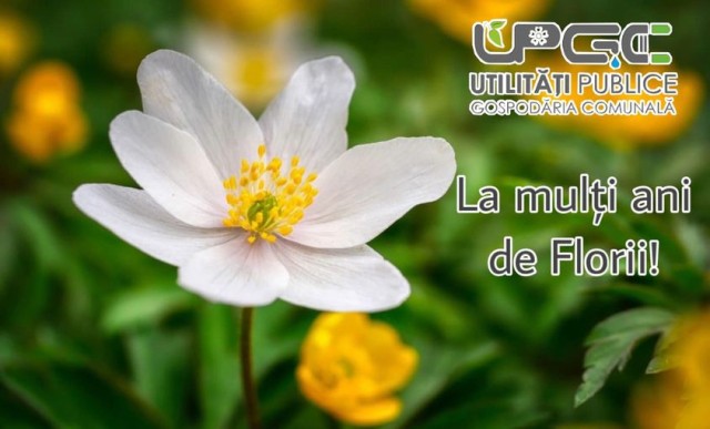 Utilități Publice Cernavodă, urări cu ocazia Floriilor