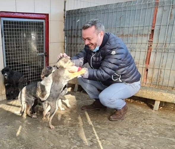 Hingherii au adunat peste 200 de câini, în ultimele 3 luni!