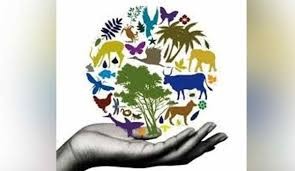 Ziua internaţională a diversităţii biologice, 22 mai