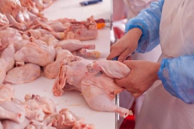 Producţia de carne de pasăre a României s-a majorat cu 5,2% în ianuarie 2024