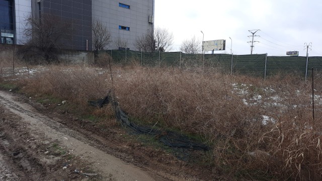”Săracul” Bela Tănase a ajuns și la Palazu Mare