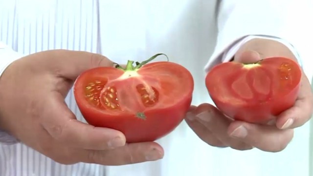 O echipă de cercetători a editat materialul genetic al roşiilor pentru a deveni o sursă vegană de vitamina D