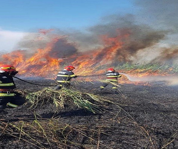 Incendiu de vegetație uscată în apropiere de localitatea Grindu