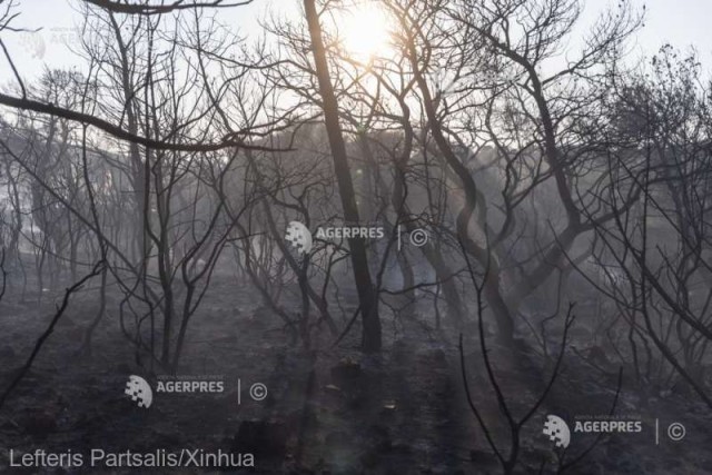Incendiul care făcea ravagii pe insula Thasos, parţial adus sub control