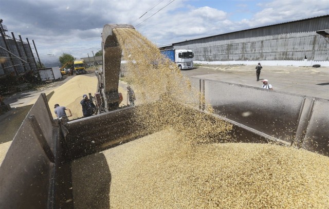 Ucraina a anunţat că va începe să exporte cereale pe mare săptămâna aceasta