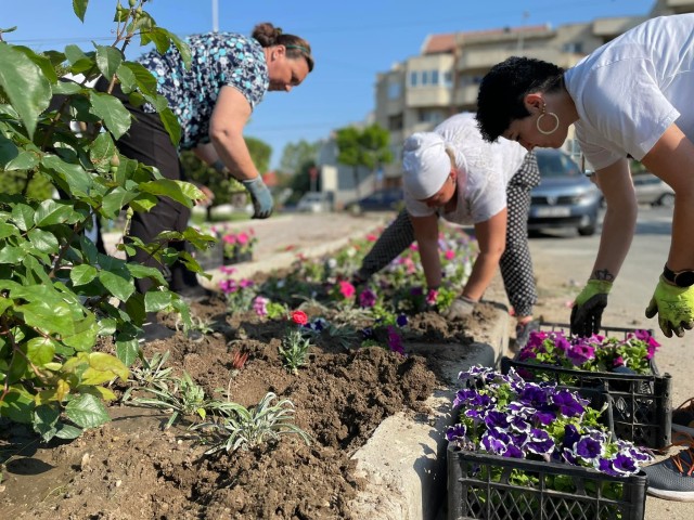 Utilități Publice Cernavodă continuă plantarea de flori