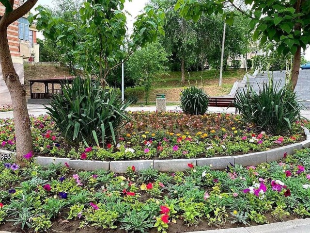 Utilități Publice Cernavodă continuă plantarea de flori