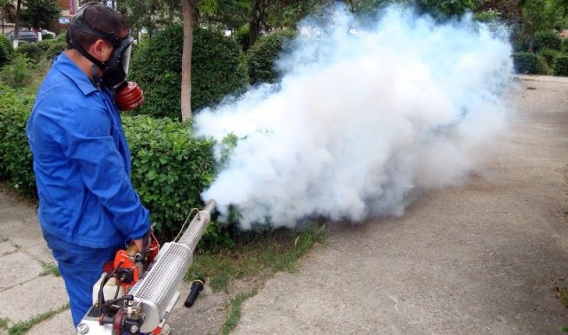 Primăria Cernavodă, tratamente pentru combaterea insectelor