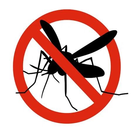 Primăria Cernavodă începe dezinsecția pentru combaterea insectelor de disconfort