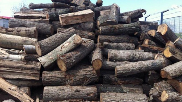 PMP cere măsuri după explozia prețurilor la lemnele de foc: România rurală riscă să fie uitată în frig