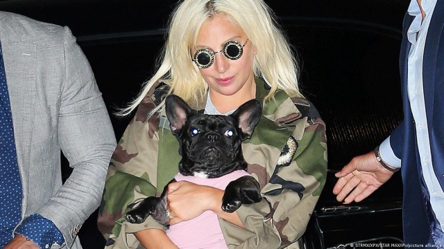 Patru ani de închisoare pentru unul dintre răpitorii câinilor cântăreţei Lady Gaga
