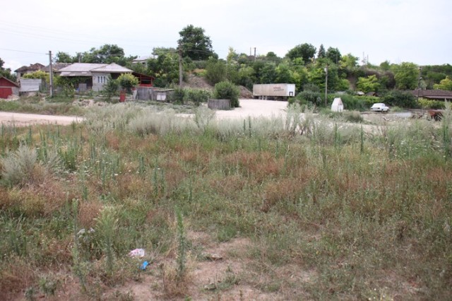 Grădinița din Băneasa se construiește de 15 ani... și nu se mai termină