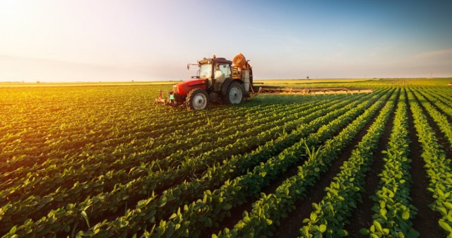 România își pune agricultura pe butuci și devine dependentă de importuri