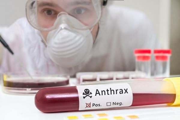 Alertă în Rusia! Caz de antrax descoperit în vestul țării