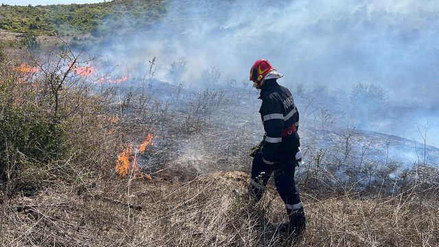 Incendiu vie și vegetație uscată în apropiere de Tulcea!