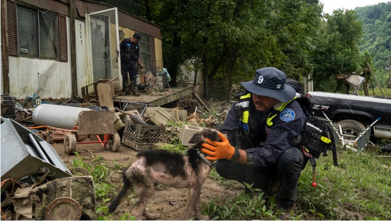 În Kentucky devastat de inundații, salvatorii merg din uşă în uşă pentru a număra morții