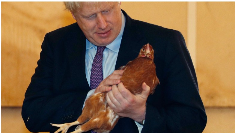 „Boris Goneson”. Internetul a fost inundat de meme cu premierul britanic după anunțul că-și dă demisia