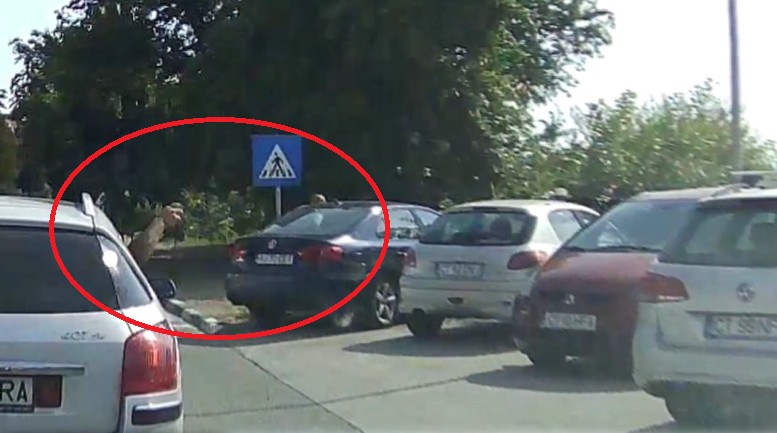 Bucureștean surprins în timp ce-și arunca gunoiul pe geam, în Eforie Nord! Video