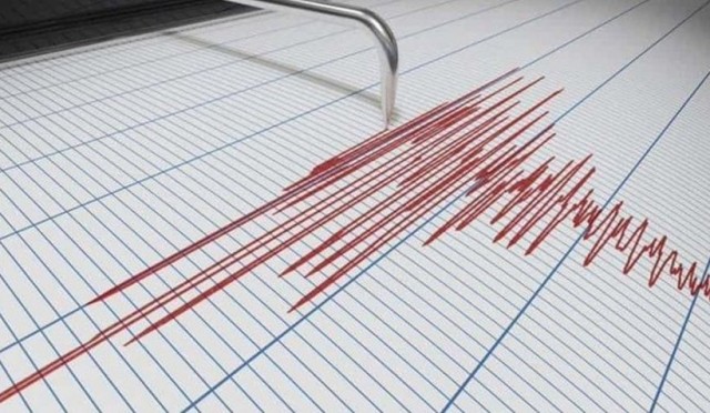 Cutremur de suprafață în Dobrogea