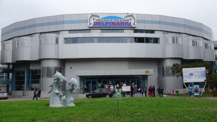 O firmă italiană, cu un subcontractor din Galați, au stricat imaginea Delfinariului. Video