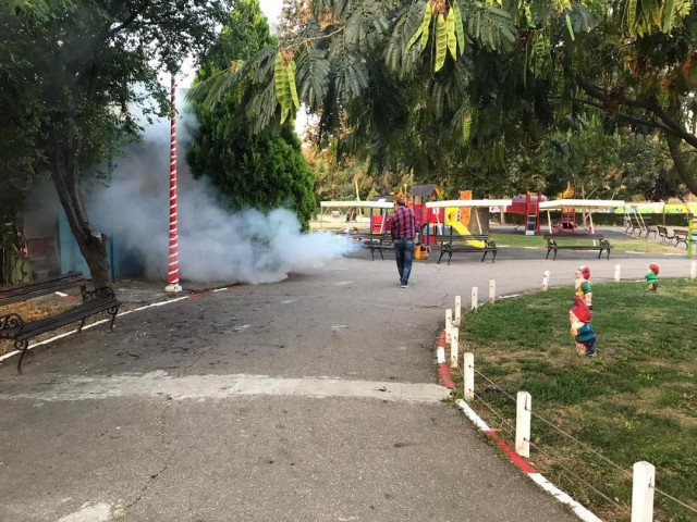 Complexul Gravity Park și parcurile de tip Țara Piticilor, închise pentru dezinfecție și dezinsecție